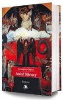 Okładka książki Anioł Północy