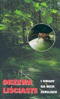 Okładka książki Drzewa liściaste i owady na nich żerujące