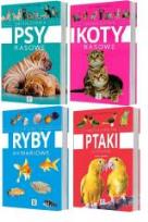 Okładka książki Expert. Encyklopedia - Mały Pakiet Dragon