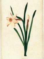 Opakowanie Karnet okolicznościowy. Kwiaty MIX