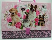 Opakowanie Teczka twarda z rączką Cleo i Frank DERFORM