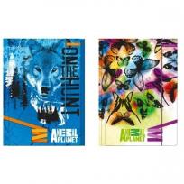 Opakowanie Teczka z gumką A4 Animal Planet