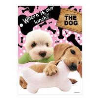 Opakowanie Wkład do segregatora A5 The Dog DERFORM