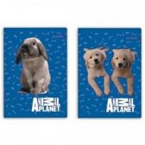Opakowanie Zeszyt A5/16K kratka Animal Planet Cute 20szt