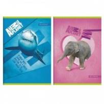 Opakowanie Zeszyt A5/16K linia Animal Planet 20szt