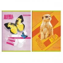 Opakowanie Zeszyt A5/60K kratka Animal Planet 10szt