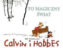 Okładka książki Calvin i Hobbes T.9 To magiczny świat