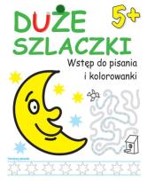 Okładka książki Duże szlaczki. Wstęp do pisania i kolorowania 5+