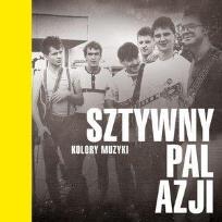 Okładka książki Kolory muzyki - Sztywny Pal Azji