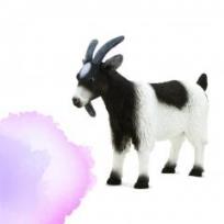 Opakowanie Kozioł ANIMAL PLANET