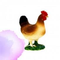 Opakowanie Kura ANIMAL PLANET