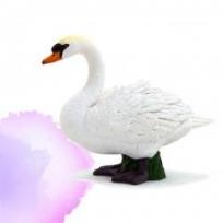 Opakowanie Łabędź niemy ANIMAL PLANET