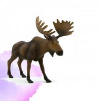 Opakowanie Łoś ANIMAL PLANET