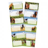 Opakowanie Naklejki na zeszyt Horses 25szt
