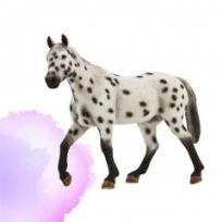 Opakowanie Ogier Appaloosa ANIMAL PLANET
