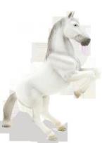 Opakowanie Ogier lipicański ANIMAL PLANET