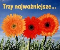 Okładka książki Perełka 142 - Trzy najważniejsze...