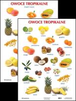 Okładka książki Plansza - Owoce tropikalne