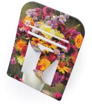 Okładka książki Podstawka pod zdzierak AVANTI