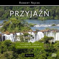 Okładka książki Przyjaźń - audiobook