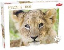 Opakowanie Puzzle 1000 Lew