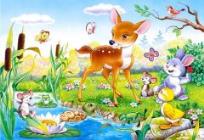 Opakowanie Puzzle 60 Bambi CASTOR