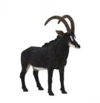 Opakowanie Antylopa szabloroga ANIMAL PLANET