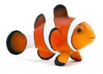 Opakowanie Błazenek ANIMAL PLANET