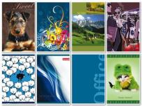 Opakowanie Brulion A5/80K/TW kratka 5 szt. mix