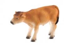 Opakowanie Cielę rasy Jersey ANIMAL PLANET