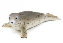 Opakowanie Foka szara ANIMAL PLANET