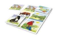 Opakowanie Gra - LOTTO Zwierzęta MAXIM