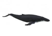 Opakowanie Humbak (kolekcja delux) ANIMAL PLANET