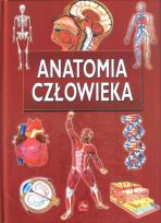 Okładka książki Ilustr. Encyklopedia dla dzieci - Anat. Człowieka