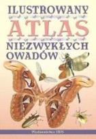 Okładka książki Ilustrowany atlas niezwykłych owadów w.2012
