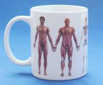 Opakowanie Kubek - Anatomiczny DISA