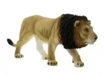 Opakowanie Lew ANIMAL PLANET