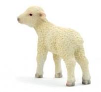 Opakowanie Owieczka ANIMAL PLANET