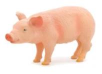 Opakowanie Prosię ANIMAL PLANET