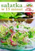 Okładka książki Sałatka w 15 minut