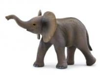 Opakowanie Słoniątko afrykańskie ANIMAL PLANET