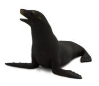 Opakowanie Uchatka kalifornijska ANIMAL PLANET