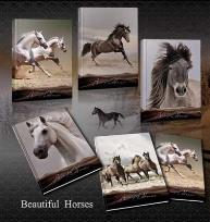 Opakowanie Zeszyt A5/60K/BR linia 10 szt. Konie