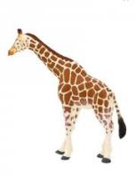 Opakowanie Żyrafa ANIMAL PLANET