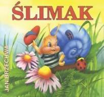 Okładka książki BN Ślimak SARA