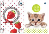 Opakowanie Brulion A7/80K kratka (20szt)