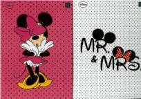 Opakowanie Brulion opr. półtw. B5/96K kratka Minnie A (5szt)