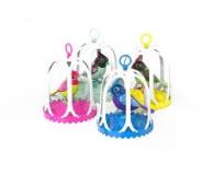 Okładka książki Digibirds Ser. 3 Śpiewający ptaczek w klatce DUMEL