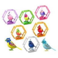 Okładka książki DigiBirds z ramką Melody