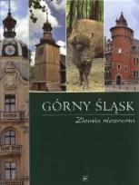 Okładka książki Górny Śląsk. Ziemia nieznana (paski) DKT